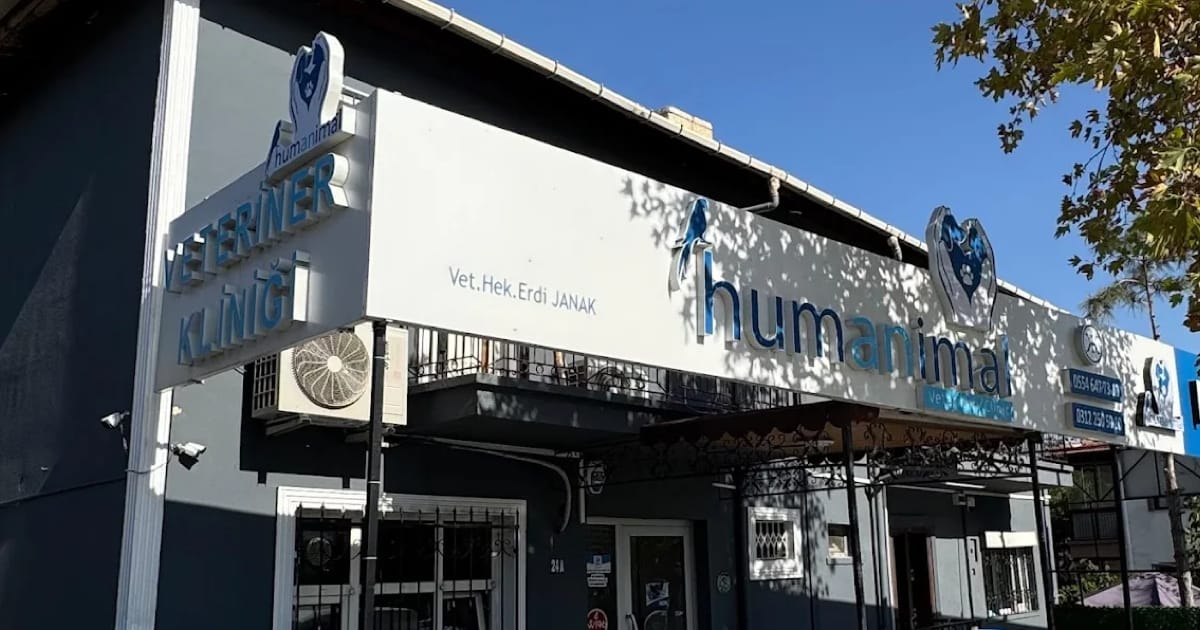 Ankara Veteriner Tavsiyesi