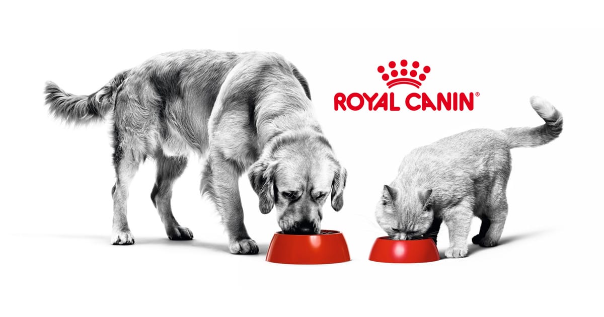 Tüm Royal Canin Reçeteli ve Bakım Amaçlı Mamalar