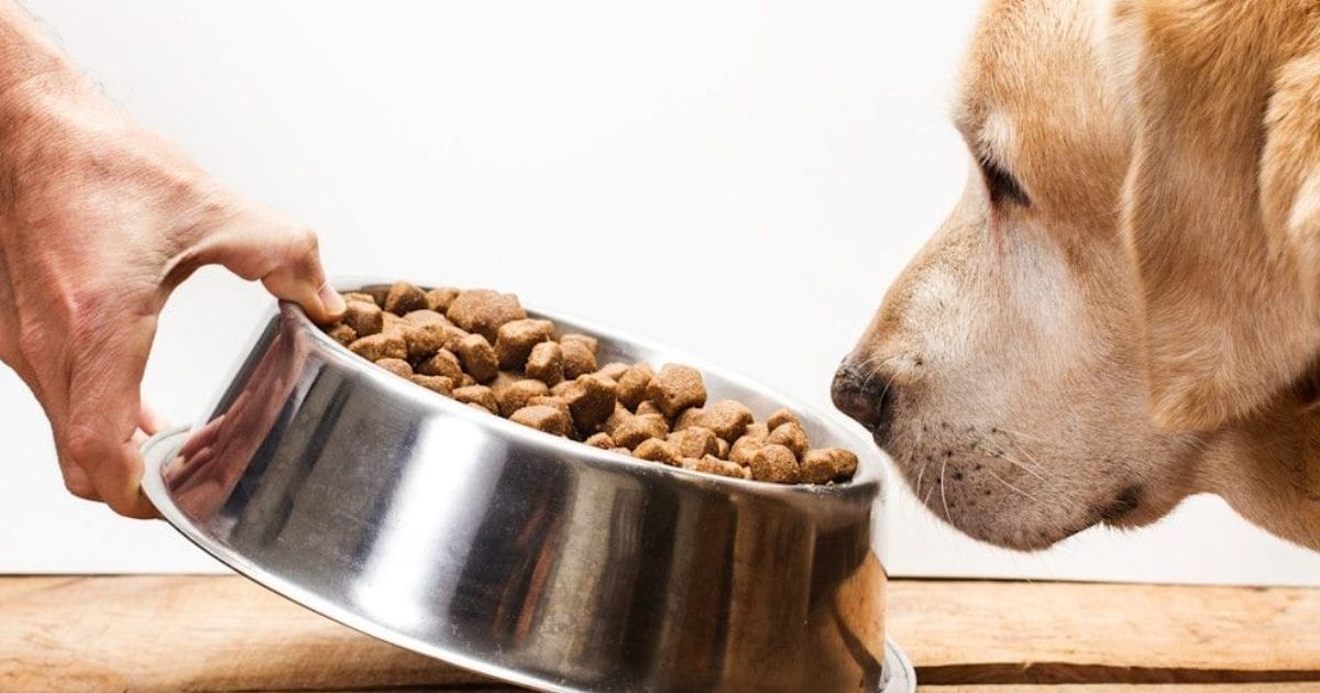 Büyük Irkların Beslenmesi: Sağlıklı Büyüme ve Uzun Ömür İçin Doğru Adımlar