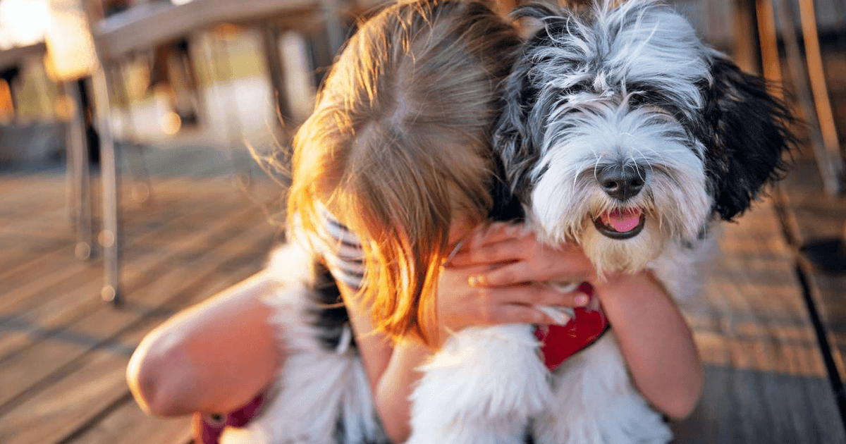 Çocuklu Aileler İçin Uygun Köpek Irkları