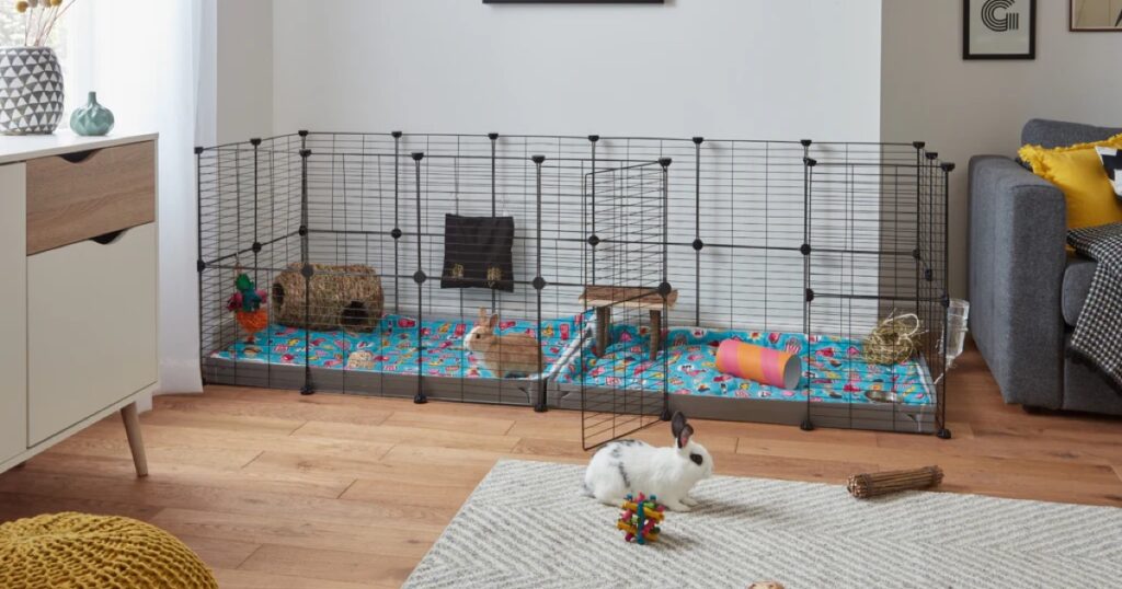 Tavşanlar Evde Beslenebilir mi?