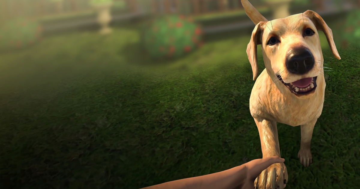 Ankara’da Güvenilir Pet Oteli Seçerken Sormanız Gereken 10 Soru