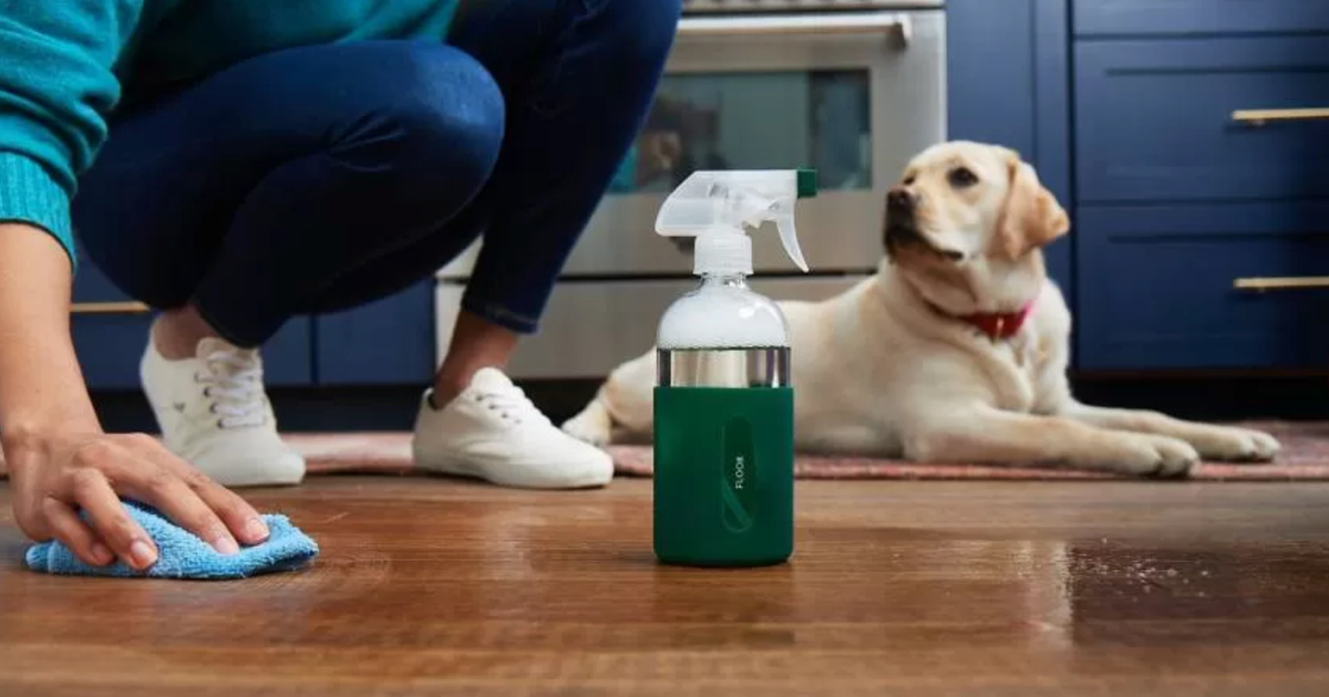 Evdeki Temizlik Ürünleri Kedi ve Köpekler İçin Tehlikeli mi?