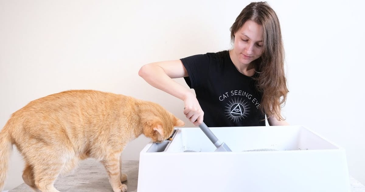 Kedi Kumu Nasıl Kullanılır?