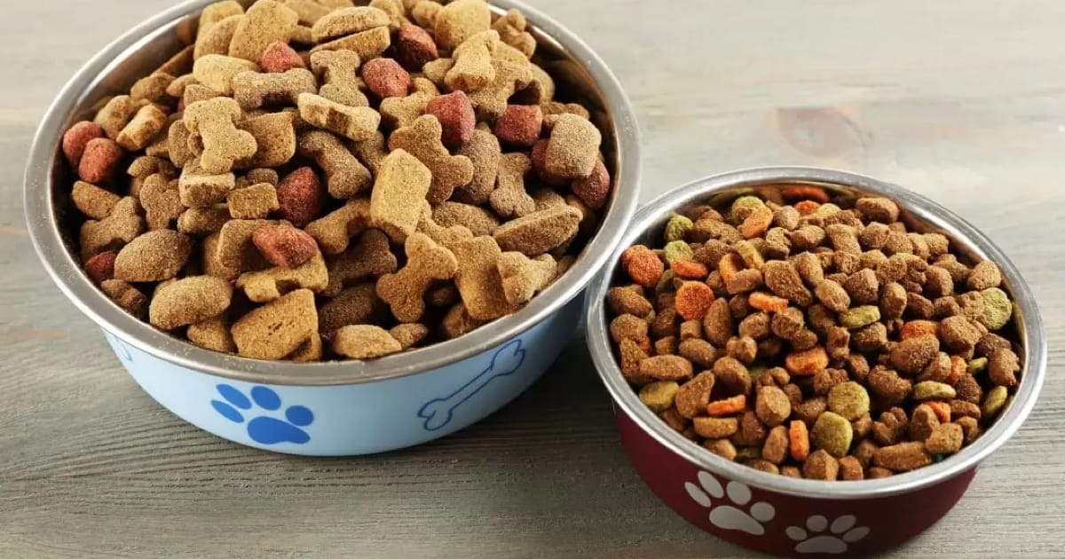 Köpek Mamalarında Bulunan Zararlı Maddeler Nelerdir?