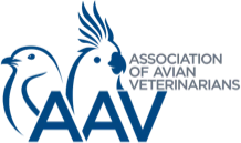 Humanimal - Association of Avian Veterinarians Türkiye