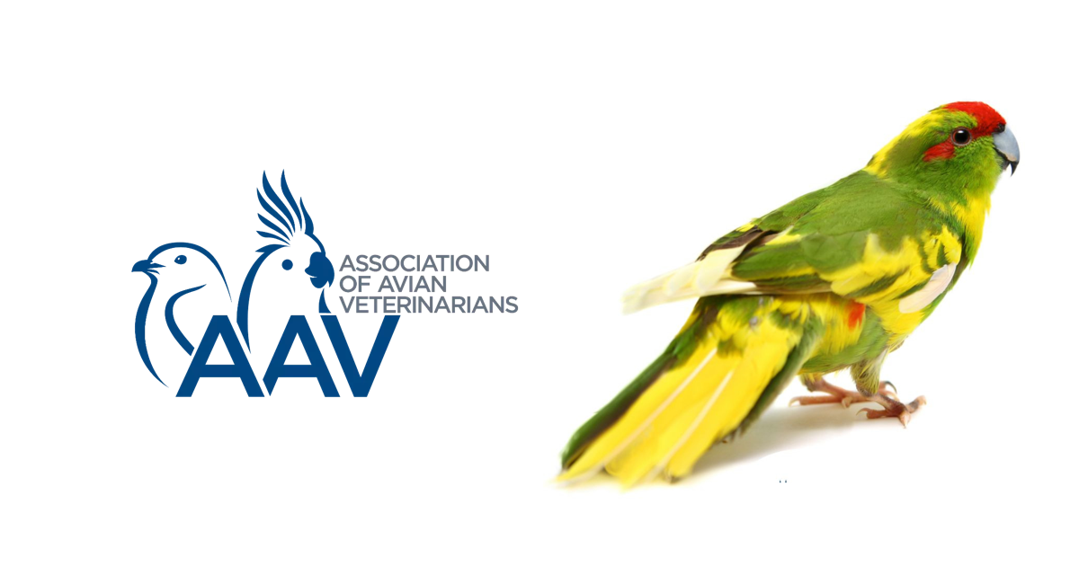 Association of Avian Veterinarians Türkiye Üyesiyiz