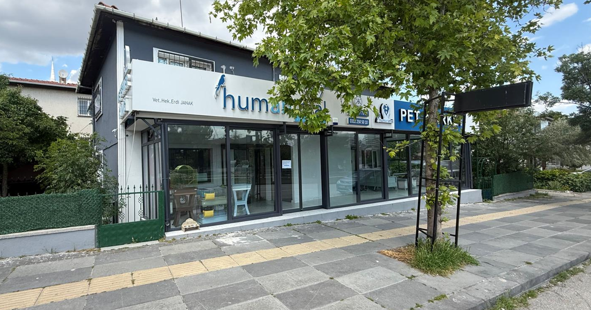 Ankara Köpek Veterineri